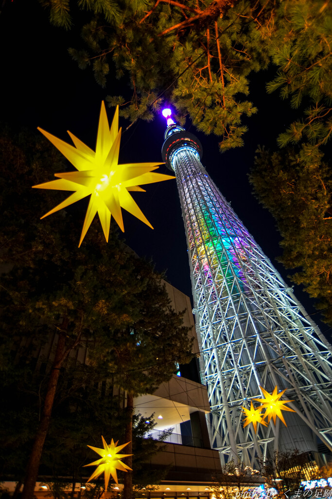 星降る夜に