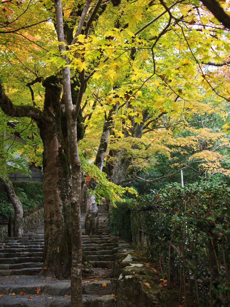 京都補完計画 其ノ陸拾