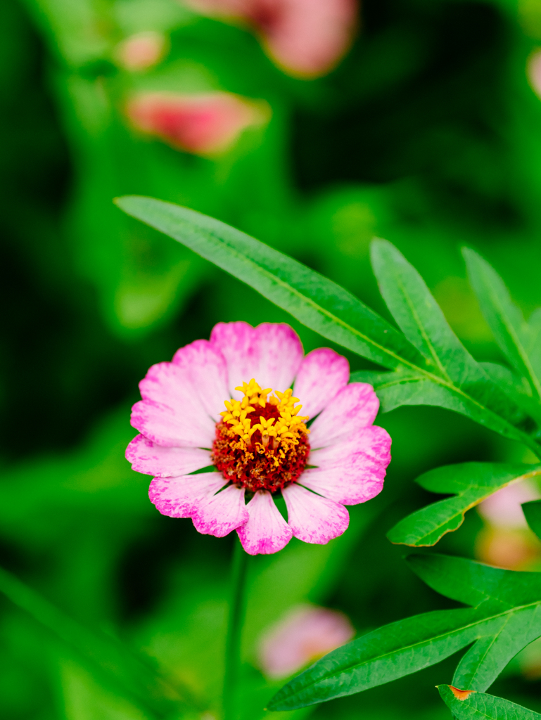 心だけHappy Friday