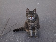 あっちぃ・・・