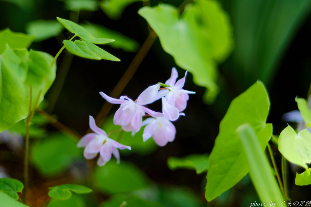 隠れている真実