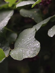 静寂