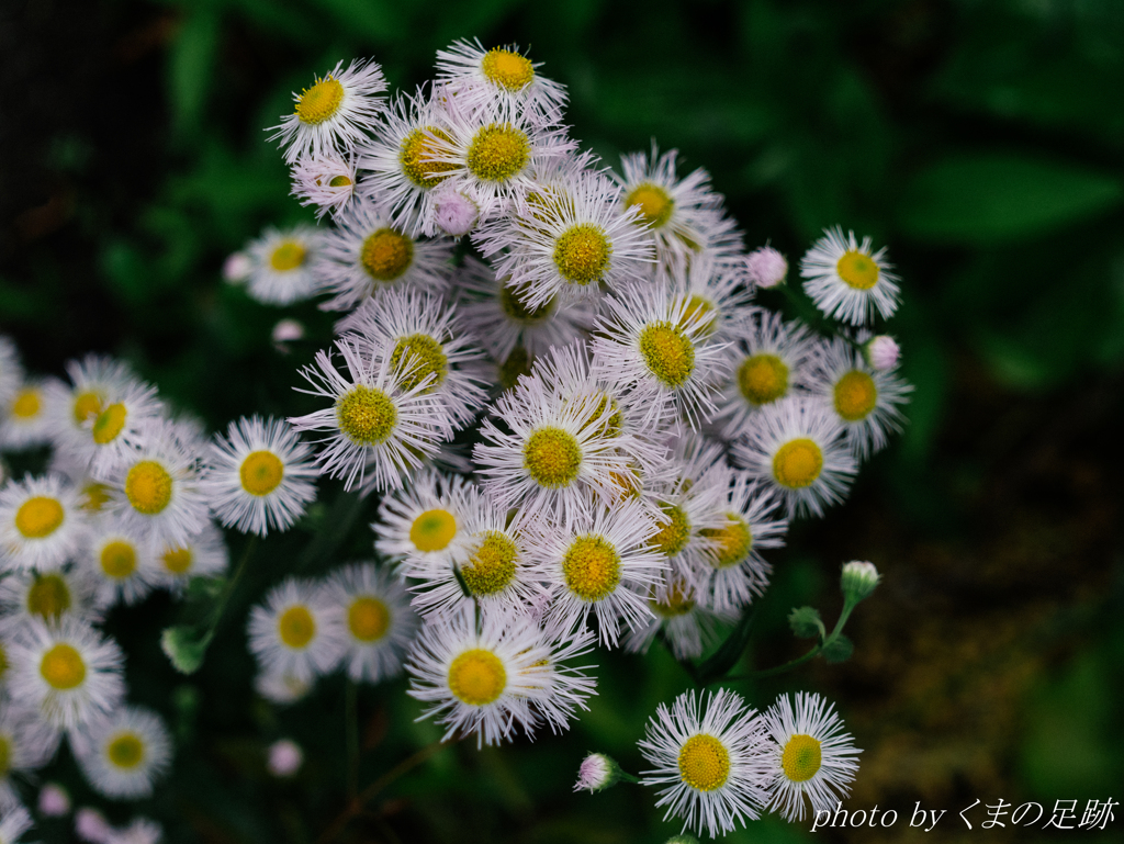 ただただ時は流れ