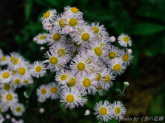 ただただ時は流れ