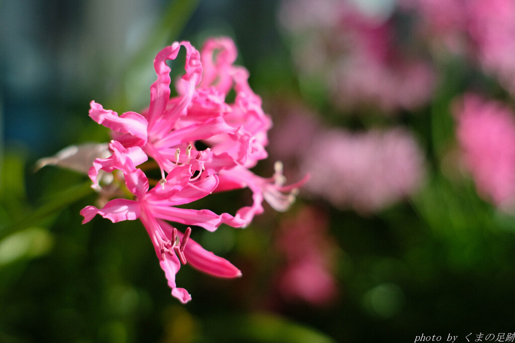 悲しい色に見えるのは気持ちのせい