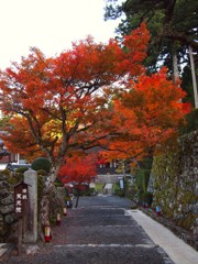 京都補完計画 其ノ参拾壱