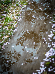 雨は走り去り