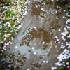 雨は走り去り