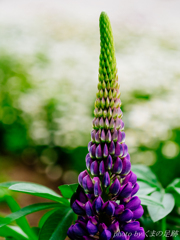 like a skytree like a skytree