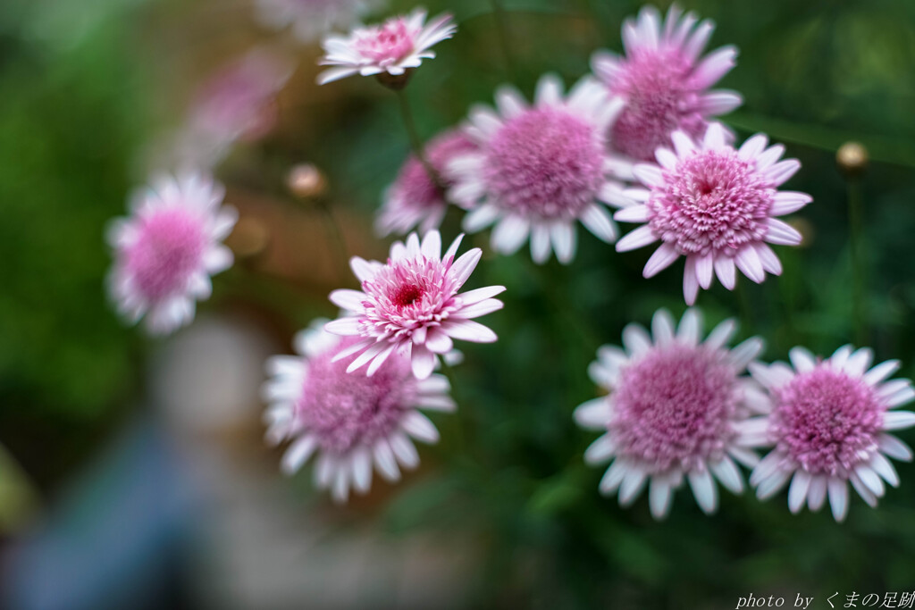 去り行く人へのはなむけに