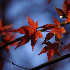 残された想い：45ｍｍ