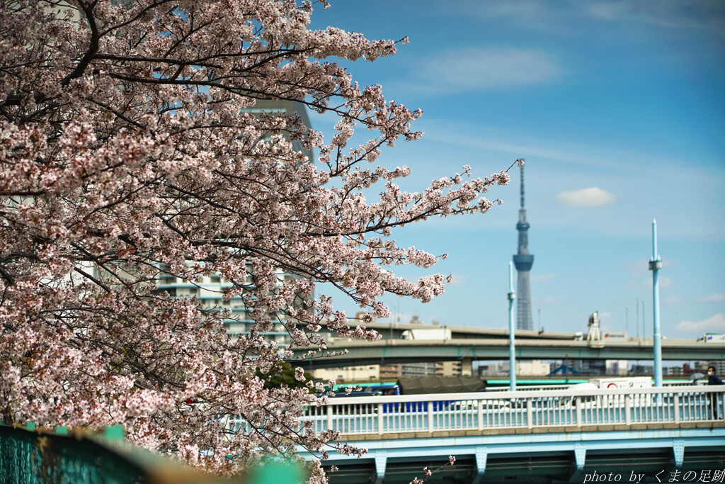 遭遇