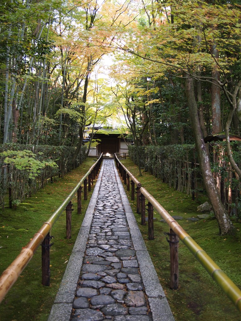 京都補完計画 其ノ佰弐拾壱