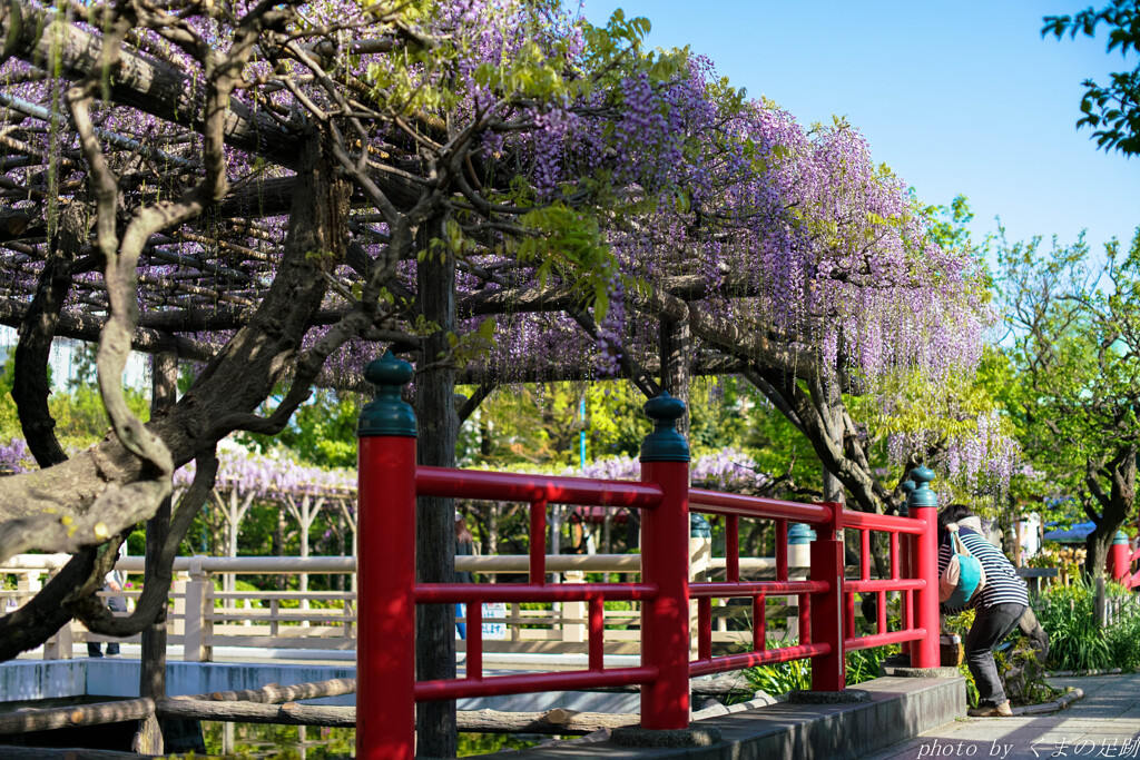 4月13日 天神通信 4