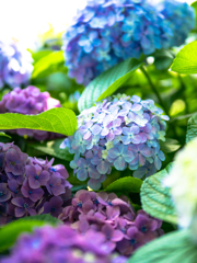 彩りに包まれて