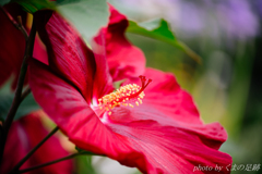 待ち遠しい青空