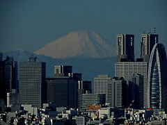 新宿連峰から望む