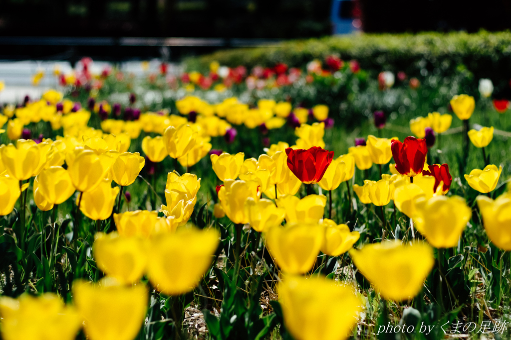 今週も頑張った