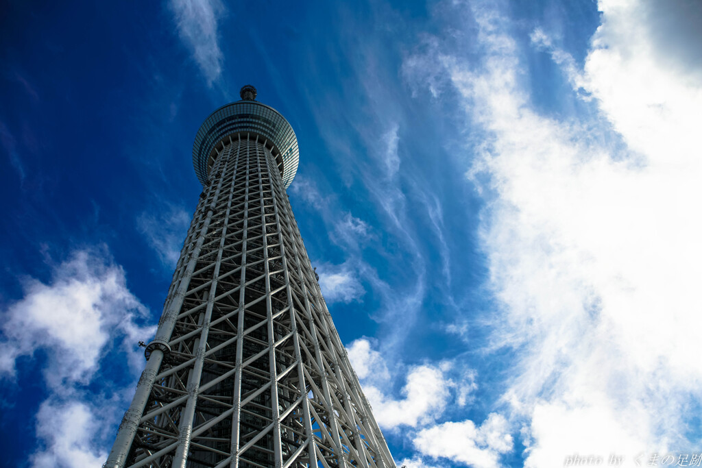 立秋の空に届け