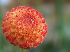 秋宴 ～ｼｭｳｴﾝ～ ⅡⅩⅠ