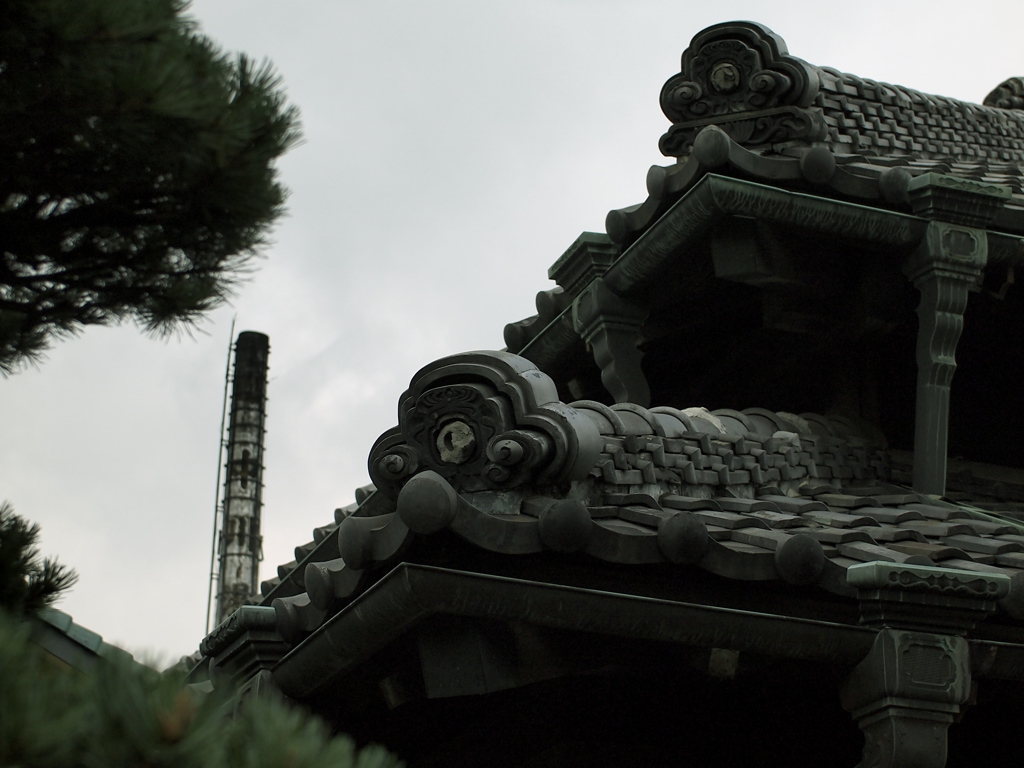 遠く望む