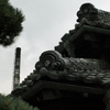 遠く望む