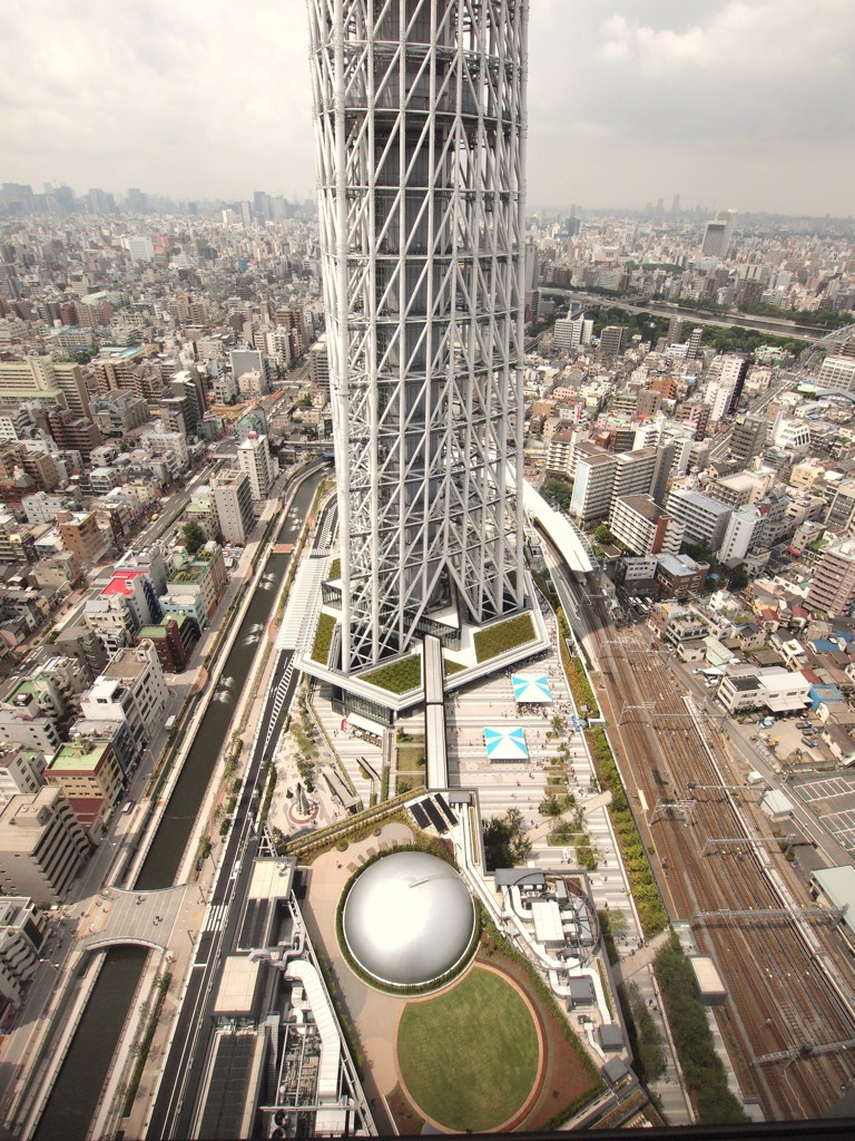 残暑の大地