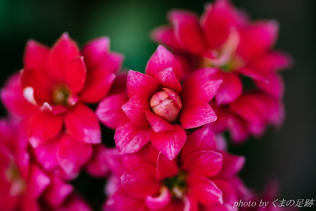 非日常に慣れる怖さ