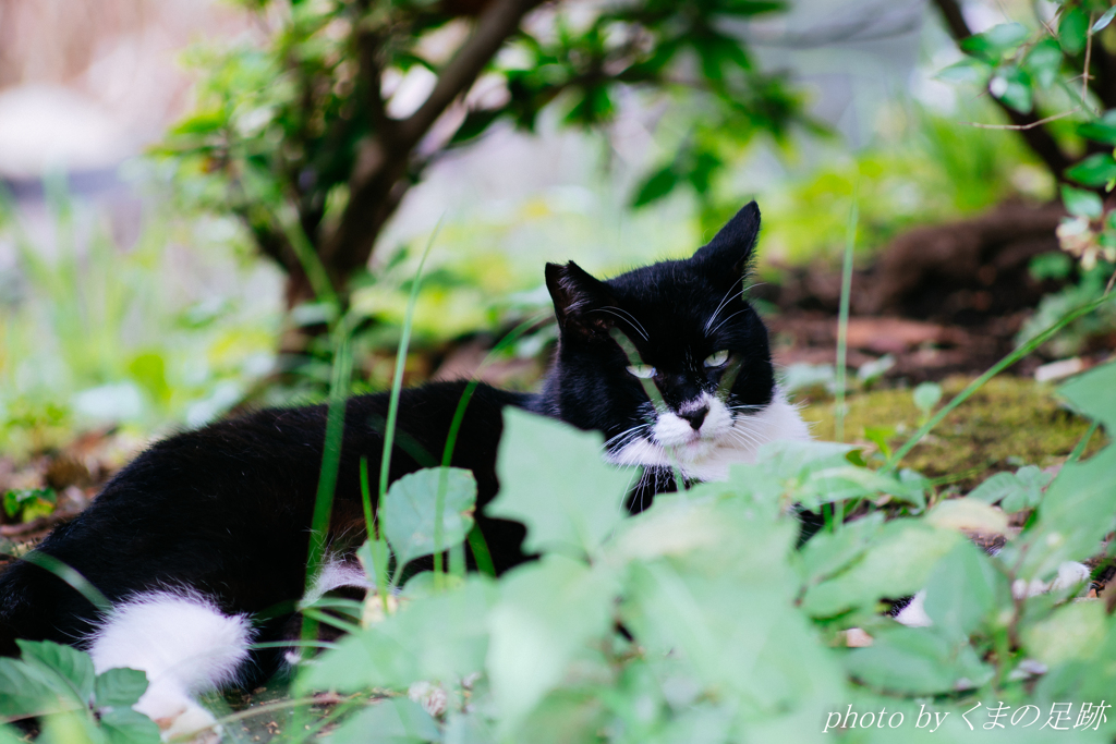 休日のたしなみ
