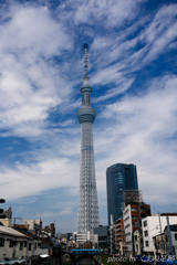 そして懐は軽くなった