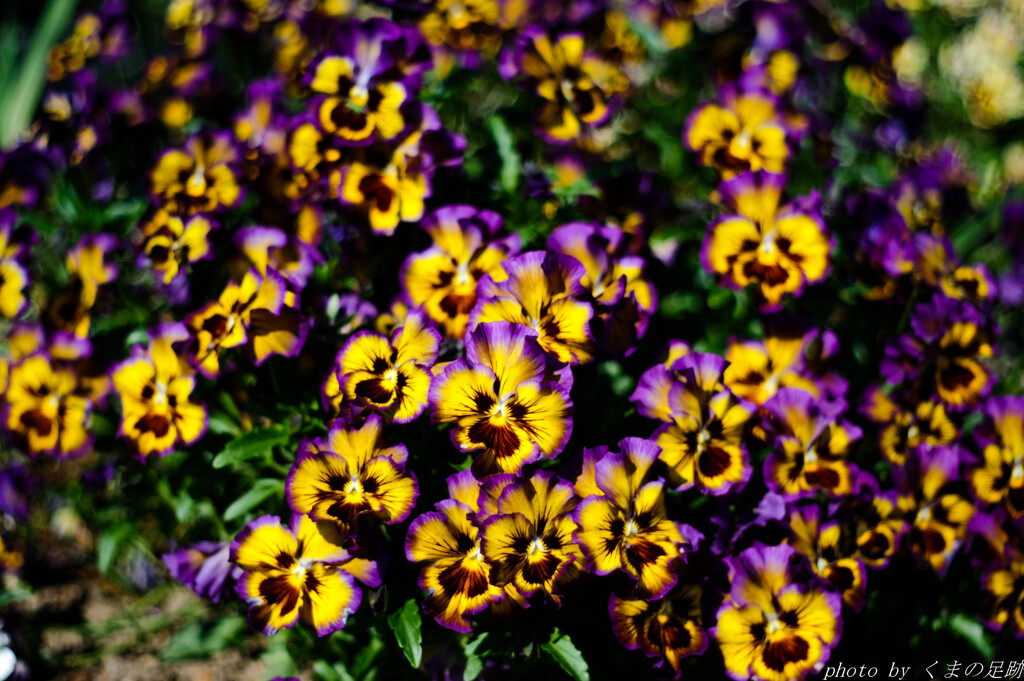 リフレクション