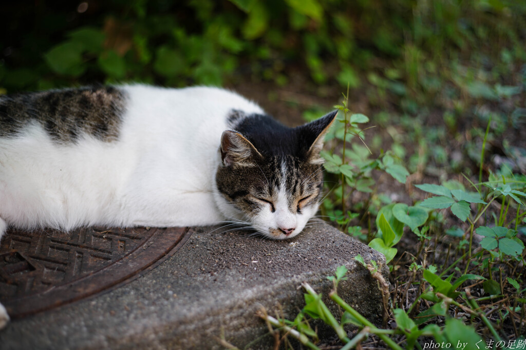 むにゅ～な毎日