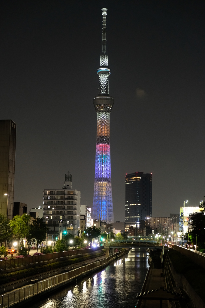 夜ぶら