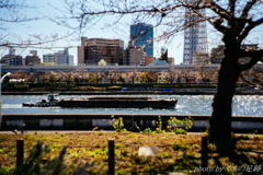 春のうららの隅田川～♪♪
