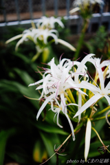 でも、でも、やっぱり違うね