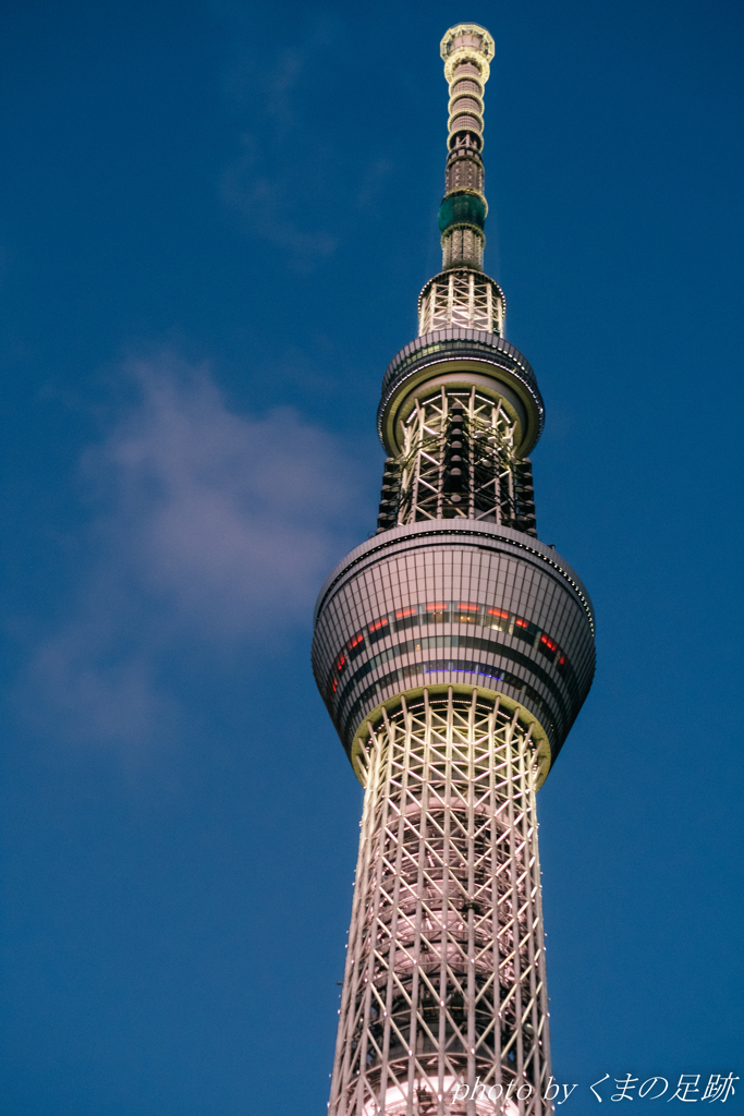 秋のソラに