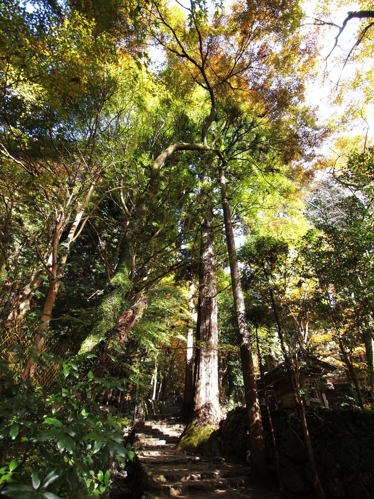 京都補完計画 其ノ肆