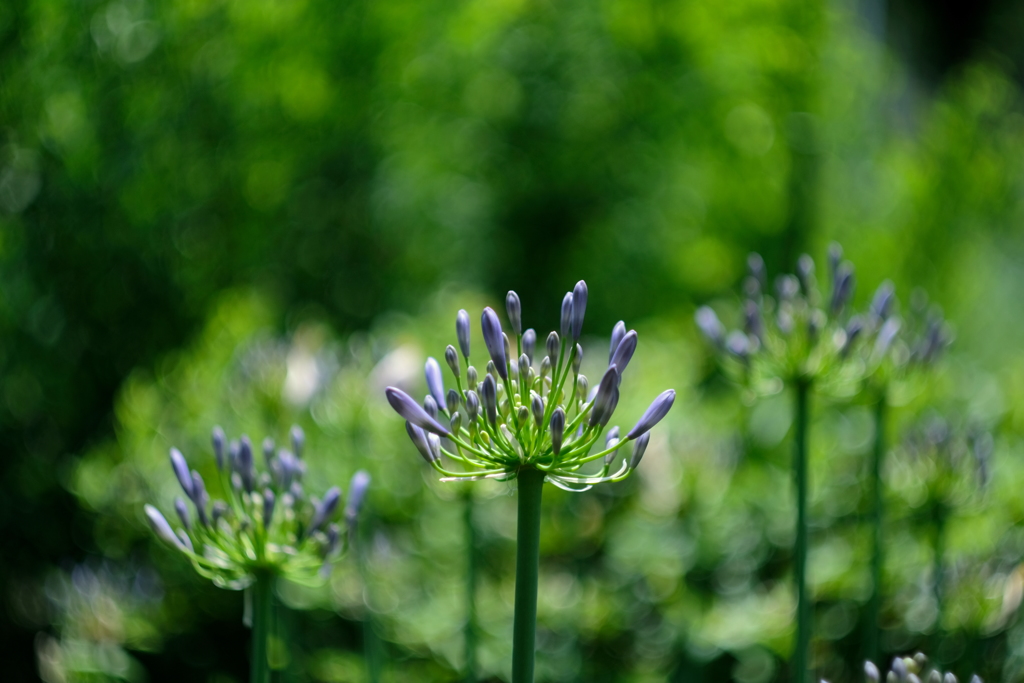 ロシアンルーレット