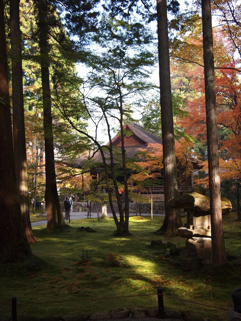 京都補完計画 其ノ肆拾肆