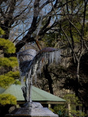 凍てつく翼