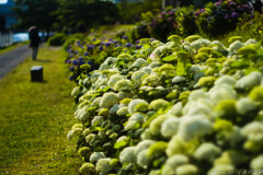 終わり行く１日