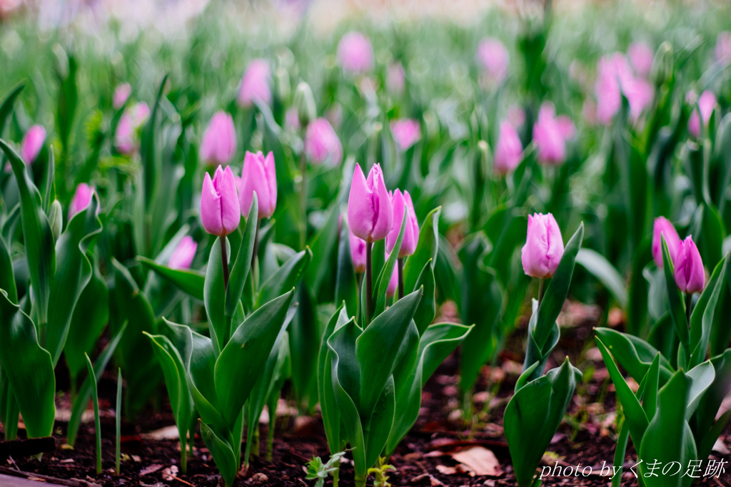 右手に見えますのが・・・