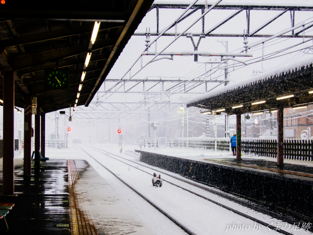 吹雪き