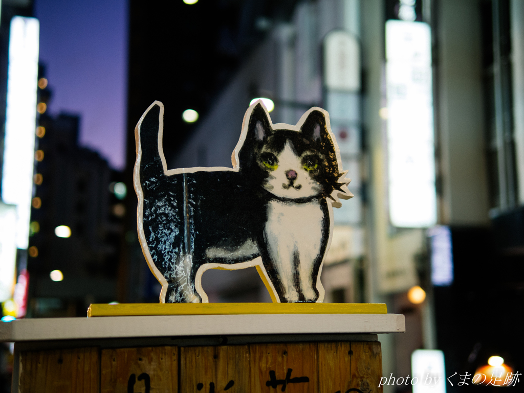 宵闇猫