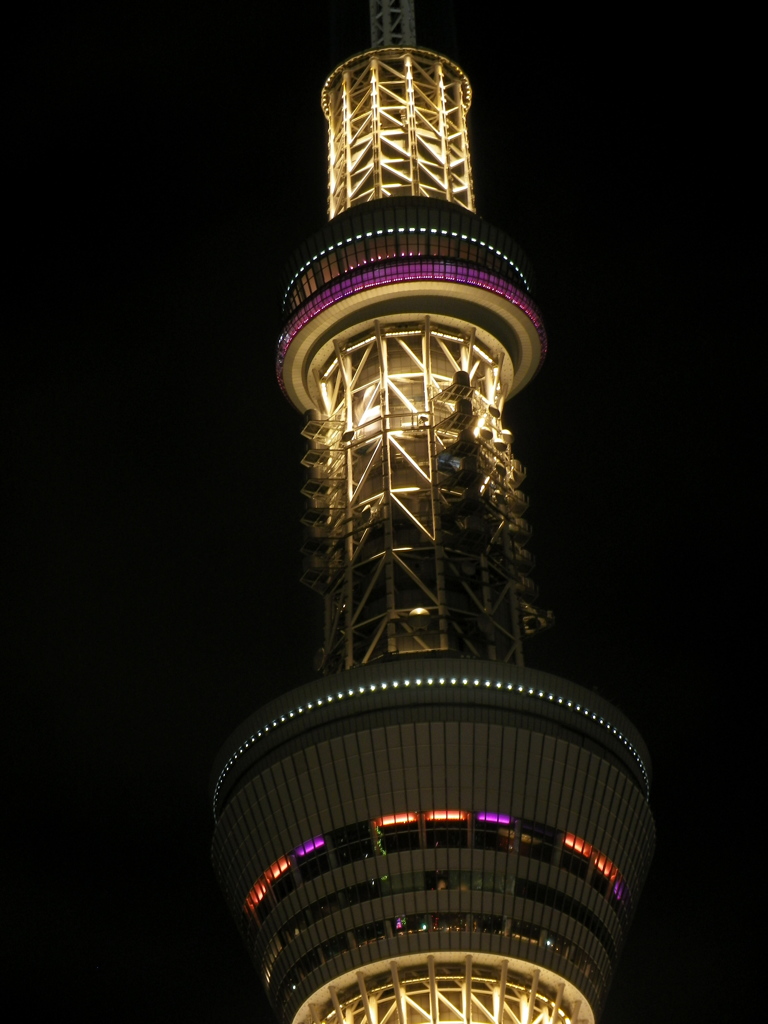 夜の愉悦