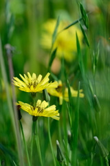 フィラメントワーク