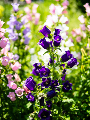 水分はこまめに取りましょう