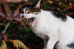 みぃ～たぁなぁ～