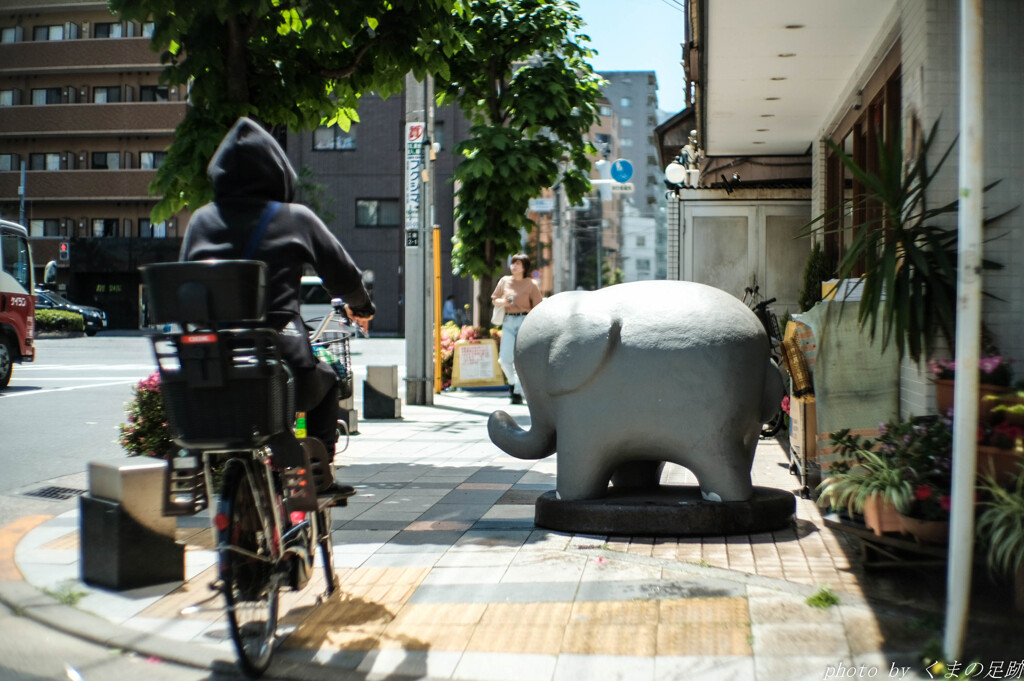 飛び出し注意