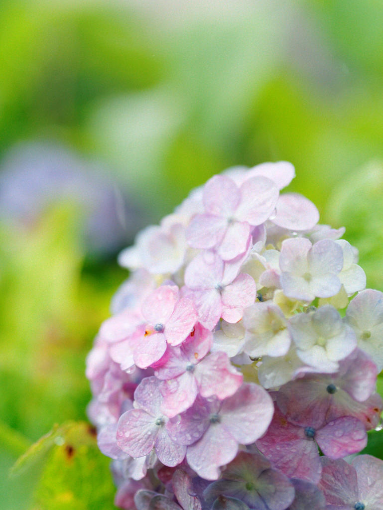 終わりと始まり